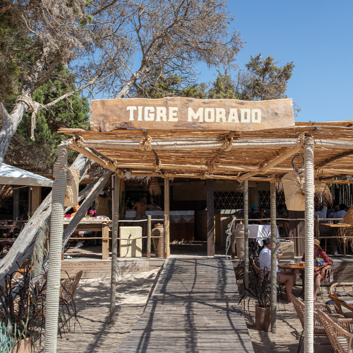 Tigre Morado Ibiza